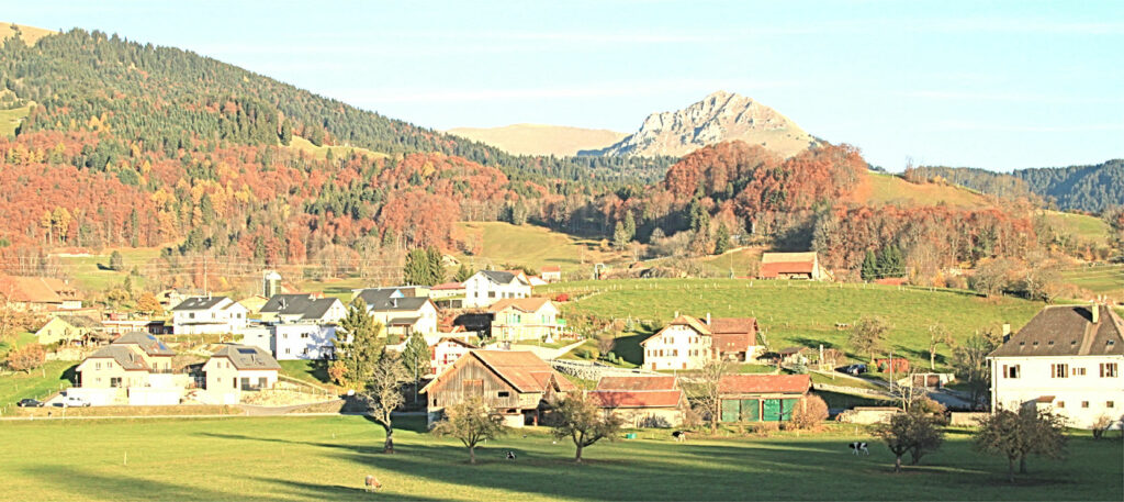 PAD "À l'etang", Châtel St-Denis